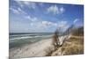 Stormy Day on the Western Beach of Darss Peninsula-Uwe Steffens-Mounted Photographic Print