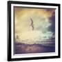 Stormy Day-soupstock-Framed Photographic Print