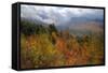 Stormy Fall Color, White Mountain New Hampshire-Vincent James-Framed Stretched Canvas