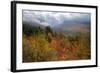 Stormy Fall Color, White Mountain New Hampshire-Vincent James-Framed Photographic Print