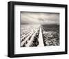 Stormy Field-Andrew Ren-Framed Art Print