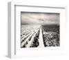 Stormy Field-Andrew Ren-Framed Art Print