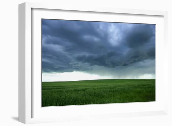 Stormy Field-null-Framed Photographic Print