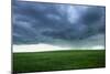 Stormy Field-null-Mounted Photographic Print