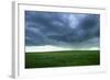 Stormy Field-null-Framed Photographic Print