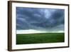 Stormy Field-null-Framed Photographic Print