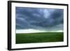 Stormy Field-null-Framed Photographic Print