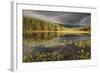 Stormy Light over Bog, Glenfeshie, Cairngorms Np, Highlands, Scotland, UK, August 2010-Peter Cairns-Framed Photographic Print