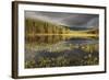 Stormy Light over Bog, Glenfeshie, Cairngorms Np, Highlands, Scotland, UK, August 2010-Peter Cairns-Framed Photographic Print