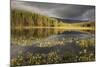 Stormy Light over Bog, Glenfeshie, Cairngorms Np, Highlands, Scotland, UK, August 2010-Peter Cairns-Mounted Photographic Print