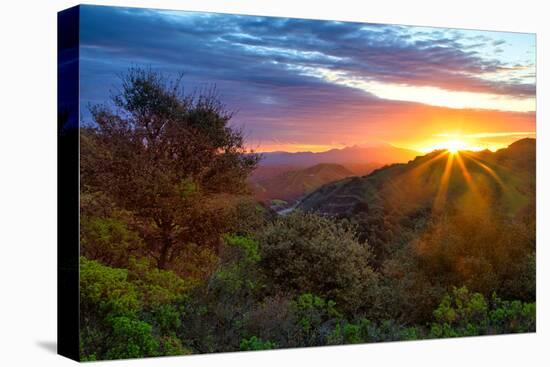 Stormy Morning Sun Star, Oakland Hills, Contra Costra, Mount Diablo, Bay Area-Vincent James-Stretched Canvas