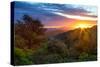 Stormy Morning Sun Star, Oakland Hills, Contra Costra, Mount Diablo, Bay Area-Vincent James-Stretched Canvas