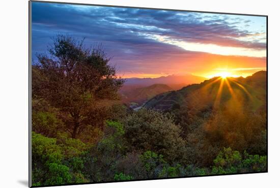 Stormy Morning Sun Star, Oakland Hills, Contra Costra, Mount Diablo, Bay Area-Vincent James-Mounted Photographic Print