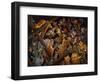 Stormy Night-Bill Bell-Framed Giclee Print