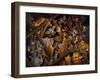 Stormy Night-Bill Bell-Framed Giclee Print