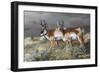 Stormy Plains-Trevor V. Swanson-Framed Giclee Print