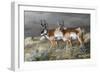 Stormy Plains-Trevor V. Swanson-Framed Giclee Print