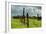 Stormy Ranch-Vincent James-Framed Photographic Print