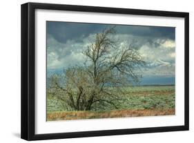 Stormy Scene Outside Lancaster-Vincent James-Framed Photographic Print