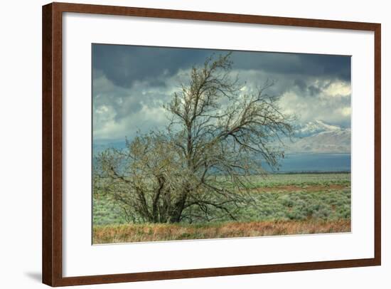 Stormy Scene Outside Lancaster-Vincent James-Framed Photographic Print