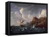 Stormy Sea, 17th Century-Pieter Mulier the Younger-Framed Stretched Canvas