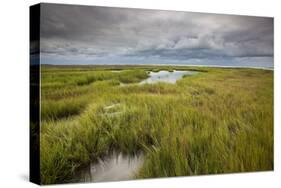 Stormy Skies Hang Over The Marshlands Surrounding Smith Island In The Chesapeake Bay-Karine Aigner-Stretched Canvas