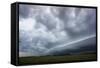 Stormy Skies, Parque National Ibera, Argentina-Peter Groenendijk-Framed Stretched Canvas