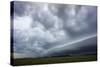 Stormy Skies, Parque National Ibera, Argentina-Peter Groenendijk-Stretched Canvas