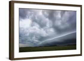 Stormy Skies, Parque National Ibera, Argentina-Peter Groenendijk-Framed Photographic Print