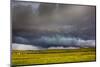 Stormy sky  above the prairie grassland, Montana, USA. June 2011-Phil Savoie-Mounted Photographic Print