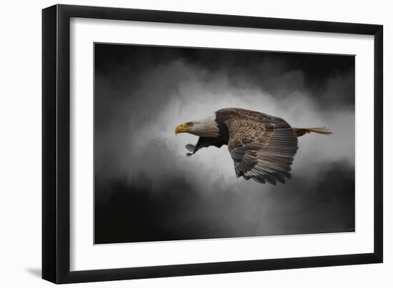 Stormy Sky Flight-Jai Johnson-Framed Premium Giclee Print