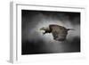 Stormy Sky Flight-Jai Johnson-Framed Premium Giclee Print