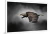 Stormy Sky Flight-Jai Johnson-Framed Giclee Print