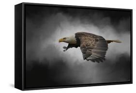 Stormy Sky Flight-Jai Johnson-Framed Stretched Canvas
