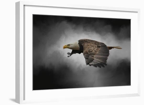 Stormy Sky Flight-Jai Johnson-Framed Giclee Print