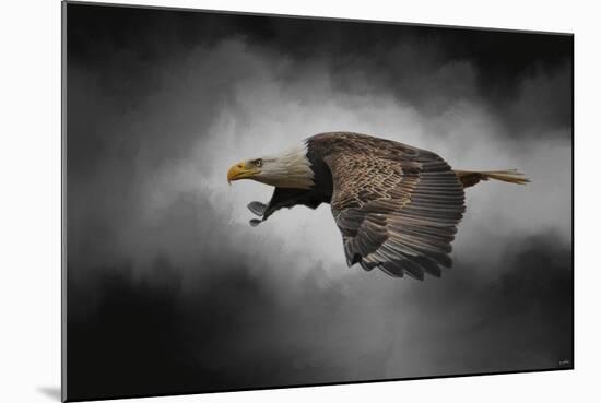 Stormy Sky Flight-Jai Johnson-Mounted Giclee Print