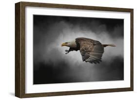 Stormy Sky Flight-Jai Johnson-Framed Giclee Print