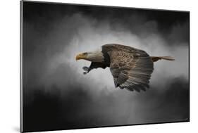 Stormy Sky Flight-Jai Johnson-Mounted Giclee Print