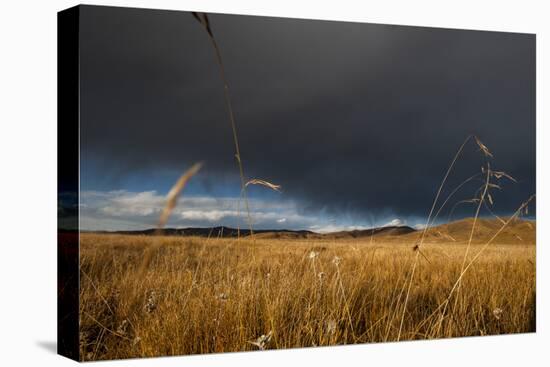 Stormy Sky over Rangelands on the Edge of the Tibetan Plateau in Sichuan Province, China, Asia-Alex Treadway-Stretched Canvas