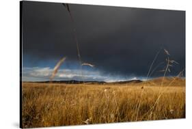 Stormy Sky over Rangelands on the Edge of the Tibetan Plateau in Sichuan Province, China, Asia-Alex Treadway-Stretched Canvas