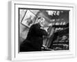 White Frame