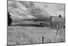 Stormy Weather in Rural Location-Rip Smith-Mounted Photographic Print