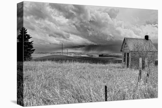 Stormy Weather in Rural Location-Rip Smith-Stretched Canvas