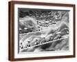 Brown Frame