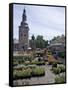 Stortorvet Square With Flower Market and Cathedral (Domkirke), Oslo, Norway, Scandinavia, Europe-null-Framed Stretched Canvas