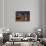 Story Bridge and Brisbane city skyline after dark, Queensland, Australia, Pacific-Andrew Michael-Framed Photographic Print displayed on a wall