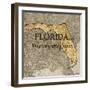Story Florida-Tina Carlson-Framed Art Print