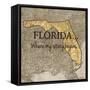 Story Florida-Tina Carlson-Framed Stretched Canvas