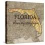 Story Florida-Tina Carlson-Stretched Canvas