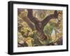 Story in the Sky-Stephen Stavast-Framed Giclee Print